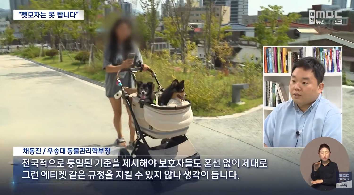 🎥 동물의료관리학과 채동진 교수님, MBC <뉴스데스크> 출연! 🎥