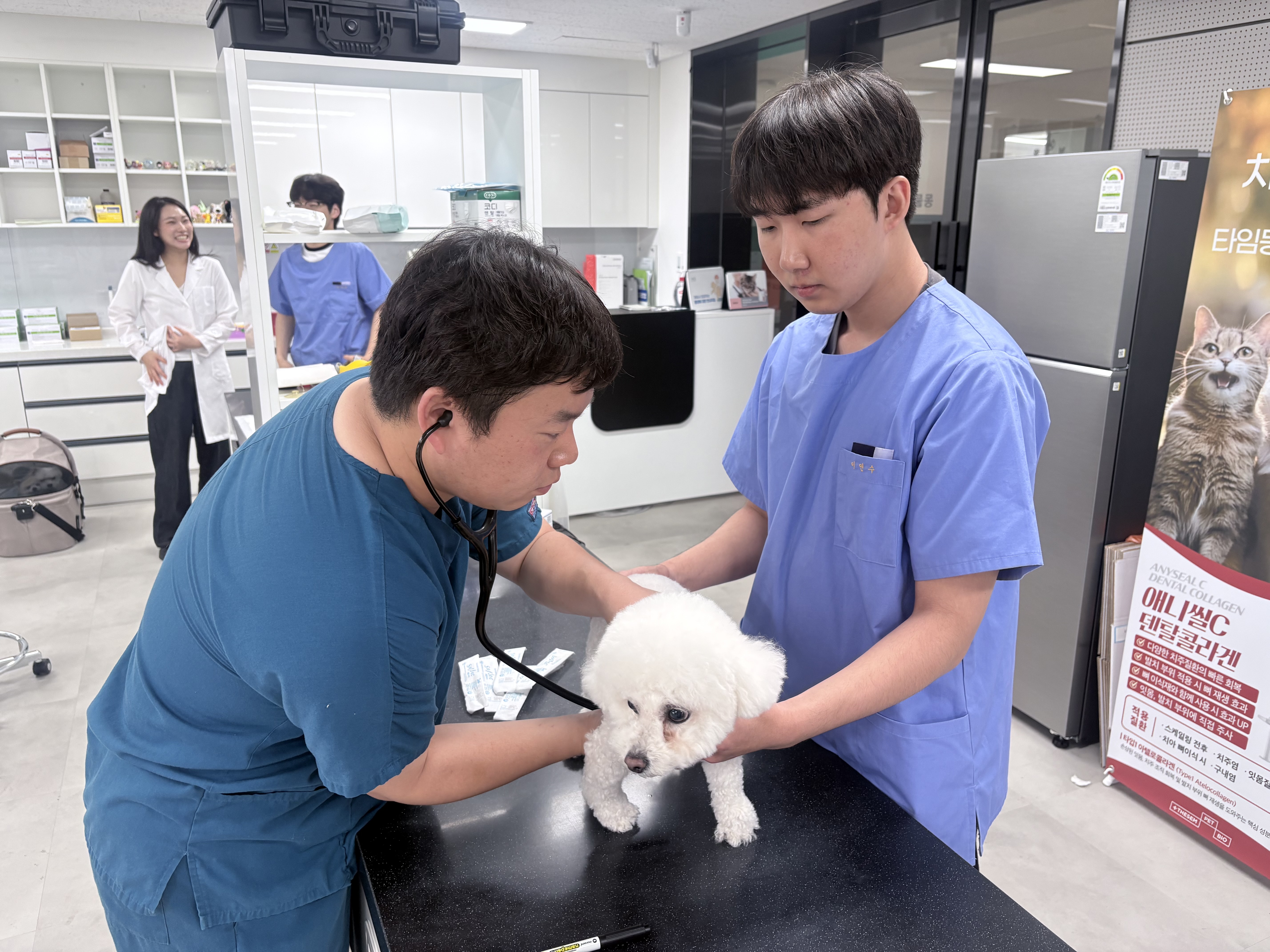 2학년 임상병리학 실습