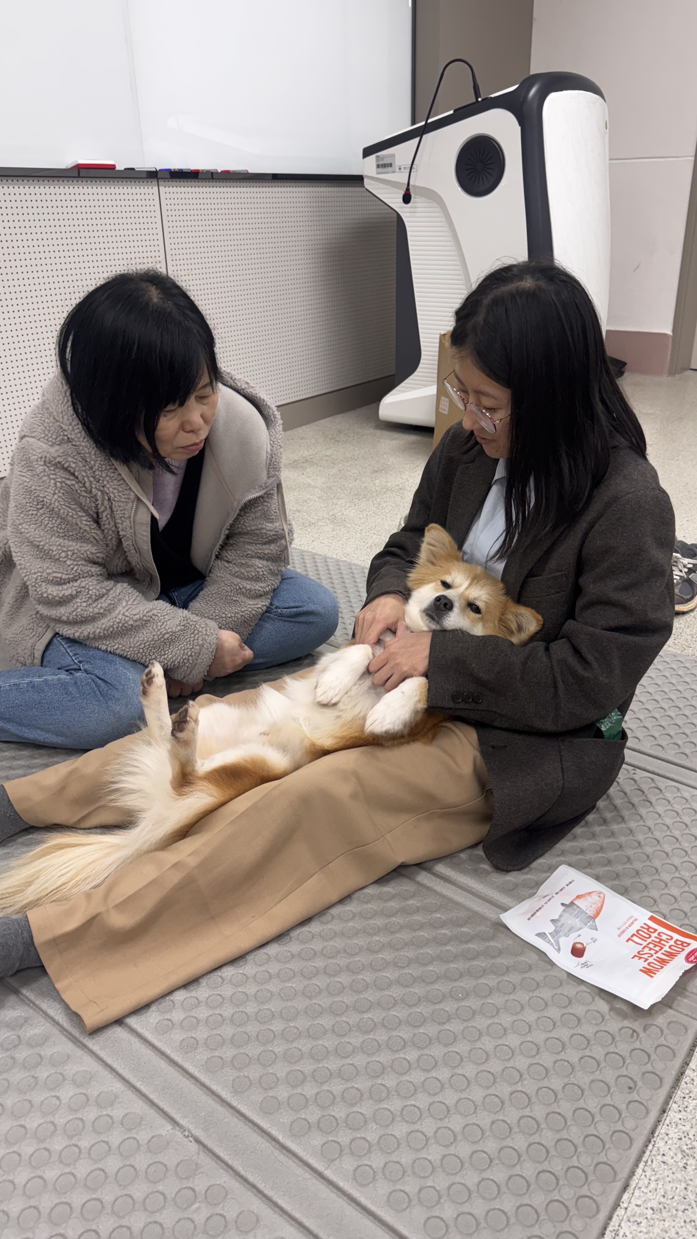 지원자와 함께하는 동물매개활동